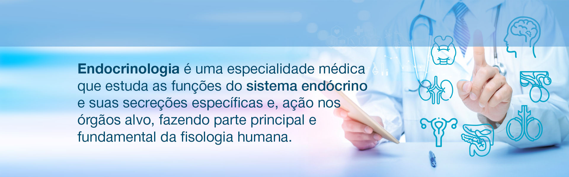 Endocrinologia